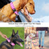DAGANXI Tactical Dog Collar, Adjustable Military Nylon Collar with Control Handle and Heavy Metal Buckle for Dogs