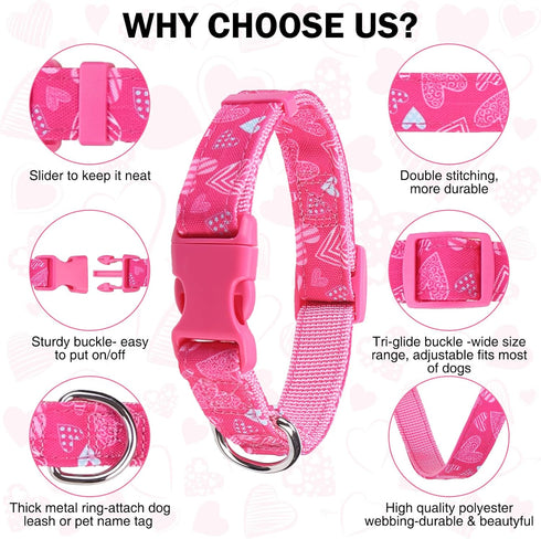 Small Dog Collar and Leash Set - Adjustable Pet Collar for XS, S, M Breeds, 5FT Nylon Dog Leash with Hearts