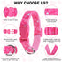Small Dog Collar and Leash Set - Adjustable Pet Collar for XS, S, M Breeds, 5FT Nylon Dog Leash with Hearts