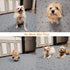 Washable,34x52 Pee Pads for Dogs Reusable Puppy Pads, Absorbent Whelping Pads with Bone Print, Non-Slip Waterproof Pet