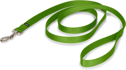 PetSafe Nylon Dog Leash - Strong, Durable, Traditional Style with Easy to Use Bolt Snap - 3/4 in. x 6 ft., Apple Green