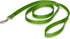 PetSafe Nylon Dog Leash - Strong, Durable, Traditional Style with Easy to Use Bolt Snap - 3/4 in. x 6 ft., Apple Green