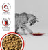 BIXBI Rawbble Freeze Dried Cat Food, Beef Recipe, 3.5 oz - 97% Meat and Organs, USA Made Raw Cat Food