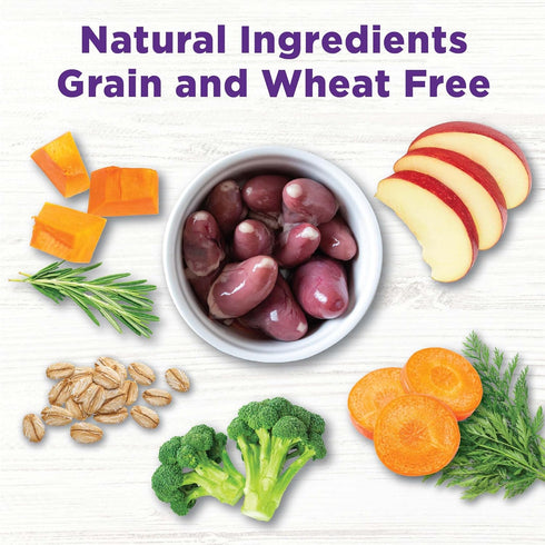Wellness Bowl Boosters - Dog Food Topper for Small, Medium, & Large Breeds, Grain Free, Natural Chicken, 4 Ounce Bag