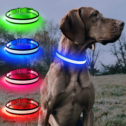 BSEEN Light Up Dog Collar, Rechargeable LED, Adjustable Reflective Dog Lights for Night Walking