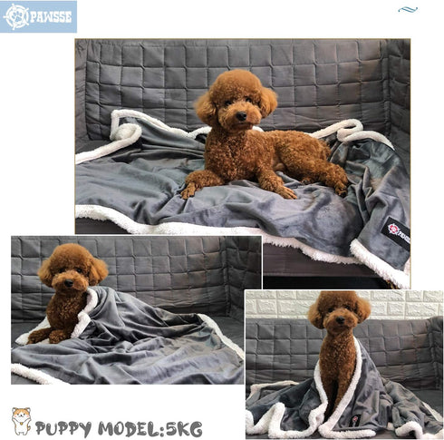 Puppy Blanket, Super Soft Sherpa Dog Blankets and Throws, Cat Fleece Sleeping Mat for Small Animals 45x30 Grey