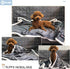 Puppy Blanket, Super Soft Sherpa Dog Blankets and Throws, Cat Fleece Sleeping Mat for Small Animals 45x30 Grey