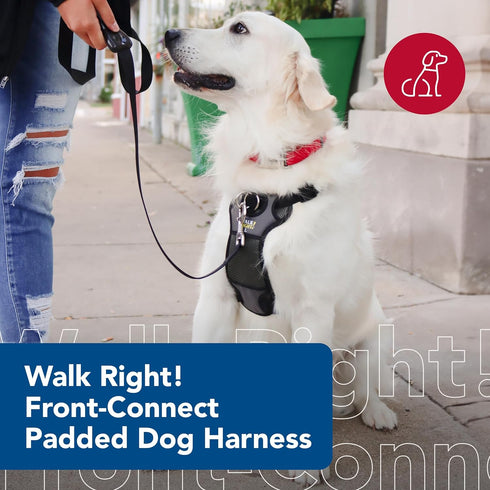 Coastal Pet Walk Right No-Pull Padded Dog Harness, Adjustable, Black, LRG (26"-38")
