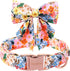 Unique Style Paws Cartoon Dog Collar, Spring Summer Bow Flower Collar for Small Medium Large Boys and Girls Dogs
