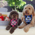 STMK Big Brother Big Sister Dog Bandana, Pregnancy Announcement Plaid Gender Reveal Photo Prop for Dogs