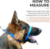 Canny Collar No-Pull Dog Collar, Gentle Head Collar for Dogs, Training Tool for Easier Walking, Red - Size 6