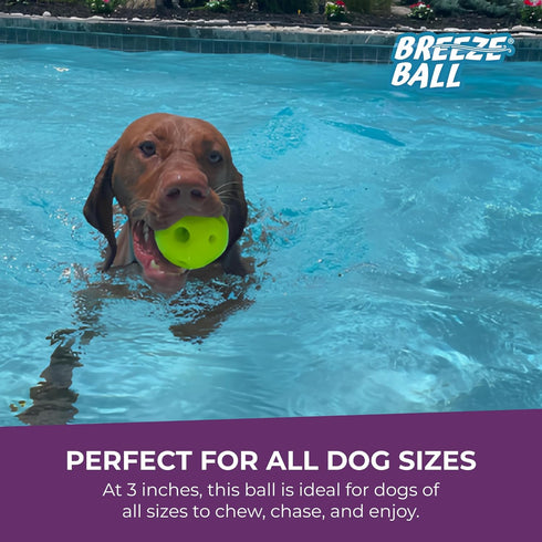 (1 Count, 3, Multipet Breeze Balls for Dog - Bevel Tech Interactive Dog Toy w/Holes for Breathing - Flotable Ball
