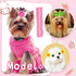 80pcs Dog Flower Bows - Bulk Holiday Small Dog Hair Bows with Rubber Bands for Grooming Accessories