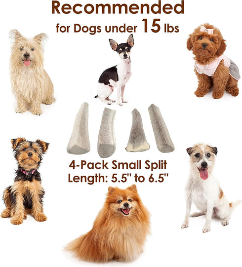 Elk Antler Chews for Dogs | Naturally Shed USA Collected A-Grade Premium Elk Antler Chews, 4-Pack Small Split