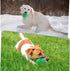 ZRIFAQESW Tough Dog Chew Toys for Aggressive Chewers, Indestructible Dog Balls for Aggressive Chewers, Squeaky Balls