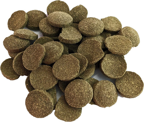 16 oz Brine Shrimp Direct PhytoDisc Plus Spirulina Algae Wafers