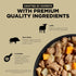 GO! SOLUTIONS Carnivore Protein Rich Wet Dog Food, Grain Free Shredded Lamb and Wild Boar, Complete Nutrition, 12.5 oz