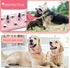 PETCARE Spiked Dog Collar, Pink Soft PU Leather with Funny Mushrooms Rivet Spike Studded Design, Adjustable for Small
