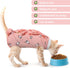 PUMYPOREITY Cat Recovery Onesie for Surgery, Kitten Recovery Suit for Neutered Wounds, Size L, Pink