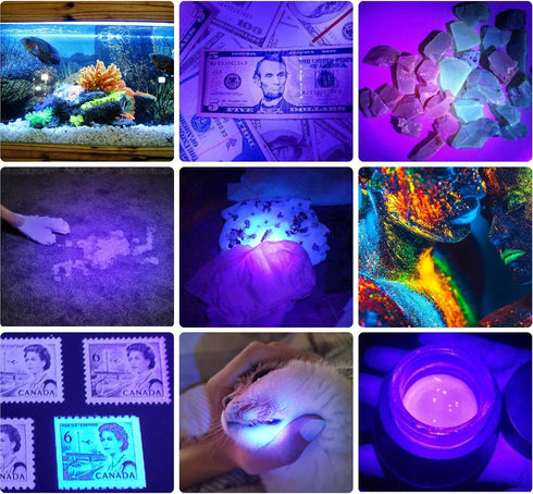 DARKBEAM 2 Pack UV 395nm Flashlight Blacklight Mini Detector for Dog/Cat Urine Stains and Anti-counterfeiting