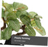 BESTOYARD Fish Tank Landscaping Plants, Aquarium Decorations, Reptile Tank Silk Tree, Plastic Fish Bowl Decor