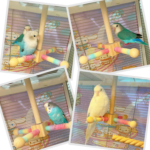 KINTOR Finches Bird Toy Perch,Parrot Interactive Spinning Toys,Bird Cage Accessories for Small and Medium