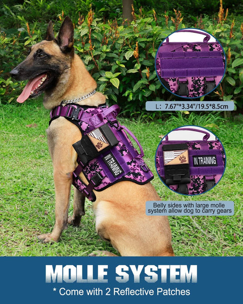 Tactical Dog Harness - PETNANNY Service Dog Vest for Large Breed, MOLLE Work Dog Vest with Handle (Purple Camo, L)