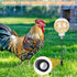 2 Pack Chicken Pecking Toys, Slow Feed Release Feeder Ball for Your Flock, Chicken Coop Enrichment & Boredom Toys