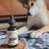 3 6 Immune 2 oz Hemp Well Thrive Oil for Dogs & Cats, Organic Hemp Oil, Omega & Supplement for Skin & Coat, Hip