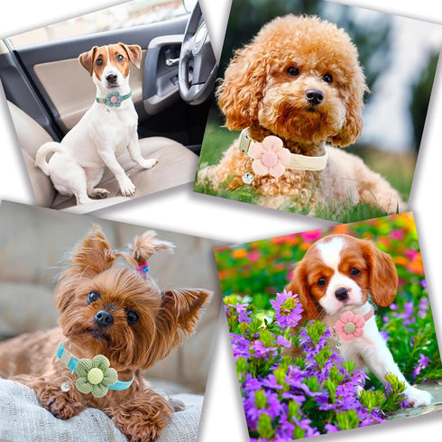 Small Dog Collar for Girls with Flower, Adjustable Puppy Collar with Bell, Little Dog Collar