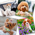Small Dog Collar for Girls with Flower, Adjustable Puppy Collar with Bell, Little Dog Collar