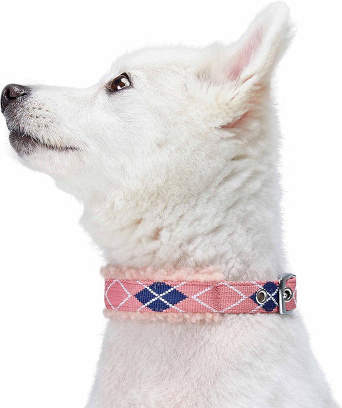 Blueberry Pet Soft & Comfy Scottish Argyle Fleece Padded Dog Collar - Pink, Neck 13-16.5", for Medium Breed