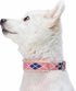 Blueberry Pet Soft & Comfy Scottish Argyle Fleece Padded Dog Collar - Pink, Neck 13-16.5", for Medium Breed
