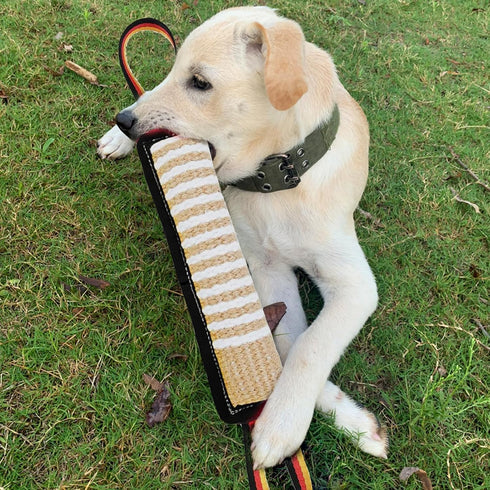 ASOCEA Dog Tug Toy, Tough Jute Pillow Pull Toy for Medium to Large Dogs, Interactive Squeaky Tug of War Training Toy