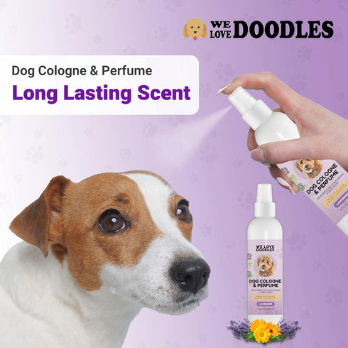 We Love Doodles Dog Cologne & Perfume - USDA Organic Deodorizing Spray for Smelly Dogs, Lavender, 8 OZ