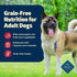 12.5-oz. (12 Count) Blue Buffalo Freedom Grain-Free Wet Dog Food, Free of Glutens & Artificial Preservatives, Made