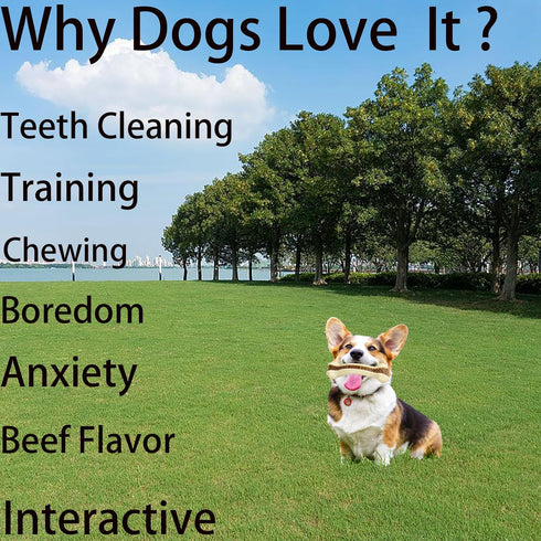 Dog Bones Chew Toys for Aggressive Chewers, 3 Pack Real Beef Flavor,Indestructible Dog Teething Chew Toys for Large/Medium/Small Breed,Tough Dog Toy with Durable Nylon