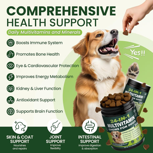 24-in-1 200 Count Omega-3 Dog Multivitamins Chewable, Dog Vitamins and Supplements with Glucosamine Chondroitin