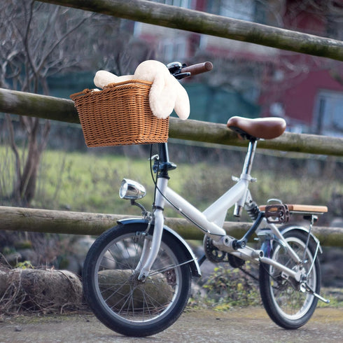 GRANNY SAYS Kids Bike Basket, Small Wicker Front Bicycle Basket for Boys and Girls, 9¾" x 7" x 6"