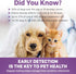5 10 One Step Pet Urine Testing Strips, x Parameter Urinalysis Test Strips, Urine pH Test Strips for Dogs, Cats