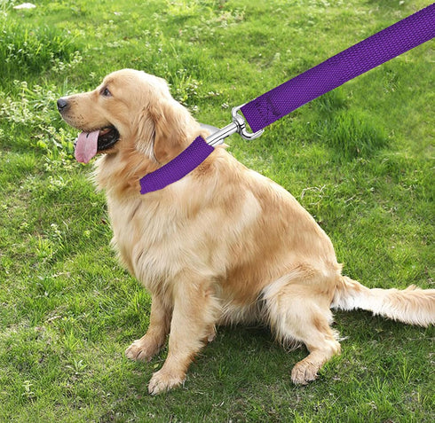 6 FT Strong Dog Leash, Nylon for Small Medium Large Dogs