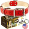 ADITYNA Heavy-Duty Premium Leather Dog Collar for Extra-Large Dogs - Padded Soft Genuine Leather