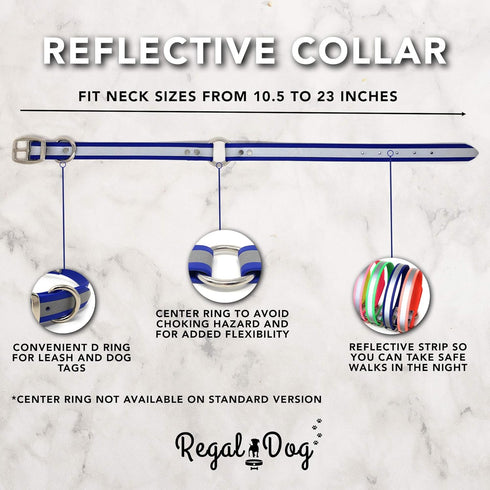 Regal Dog Products Small Orange Heavy Duty Reflective Dog Collar, Adjustable, Chew Proof & Waterproof