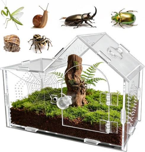 GTSEEMUU Acrylic Jumping Spider Enclosure with Magnetic Lock Clear Ventilated Terrarium Box for