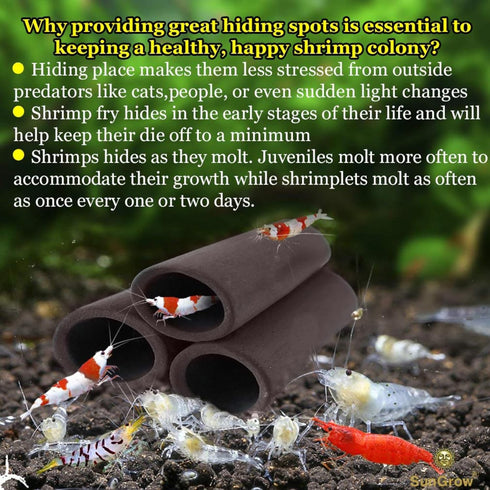 SunGrow Betta & Shrimp Ceramic Shelters - 2.8 x 1.8 x 0.6 Inches, Small Reptile & Lizard Hiding Cave with Connected