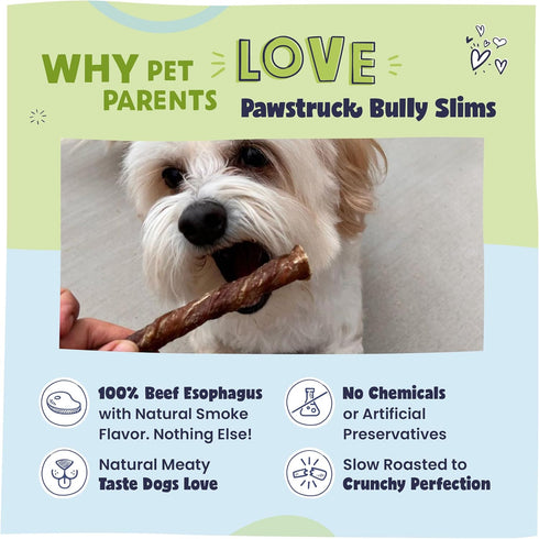 5 20 Count Pawstruck Natural Beef Bully Slims Junior Gullet Chew Sticks for Small Dogs & Puppies Healthy Rawhide Free