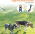 Taglory Double Dog Leash - Reflective Rope, No Tangle Design for Two Dogs, Puppy Small Medium Breeds, Blue