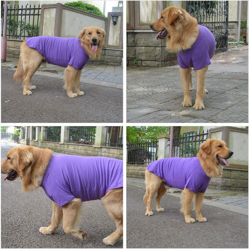 Lovelonglong 2019 Pet Clothing - Basic Blank T-Shirt for Small Dogs, Purple, Size L