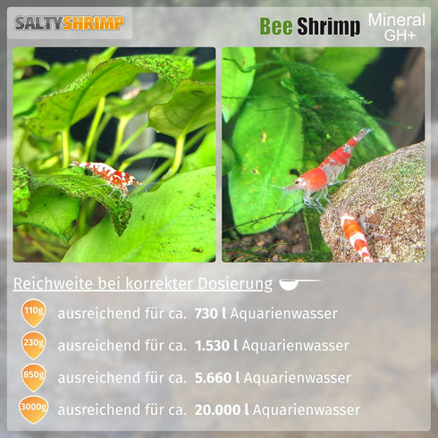 110g Salty Shrimp Bee Shrimp Mineral GH+