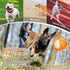 Dog Squeak Chew Toys Tough Ball for Medium/Large Aggressive Chewers, Indestructible Training Fetch Toy
